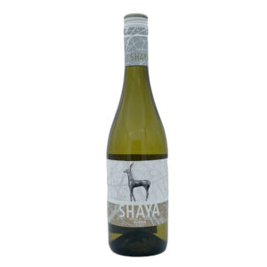 Shaya Verdejo 2023