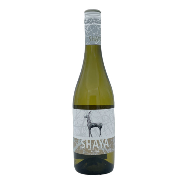 Shaya Verdejo 2023