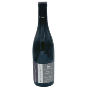 Domaine des Roches Neuves Saumur Champigny Franc de Pied 2018