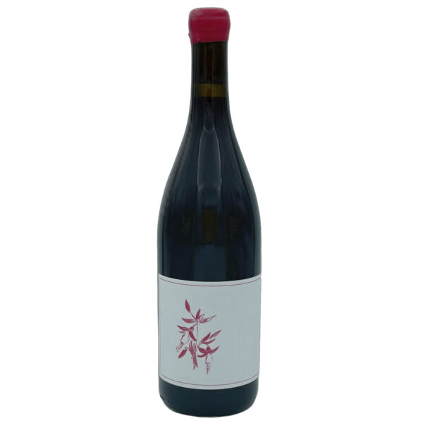 Arnot Roberts 2020 Peter Martin Ray Pinot Noir