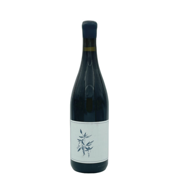 Arnot-Roberts Cabernet Franc 2021