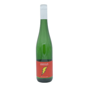 Seehof Riesling Kabinett Elektrisch 2025